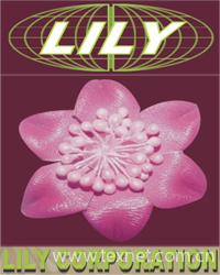 LILY CORPORATION